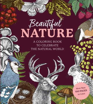 Cover image for 9780785843382 - Beautiful Nature Coloring Book