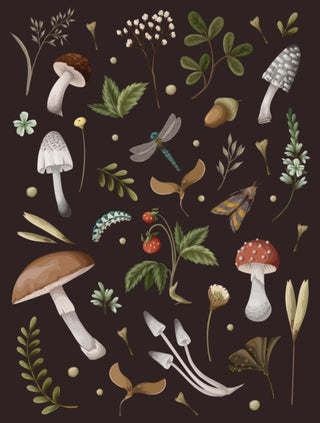 Cover image for 9780785843832 - Mushroom Lined Journal