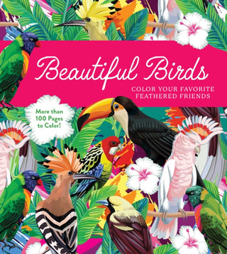 Cover image for 9780785844334 - Beautiful Birds