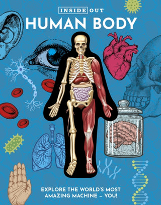 Cover image for 9780785845799 - Inside Out Human Body