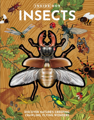 Cover image for 9780785847632 - Inside Out Insects