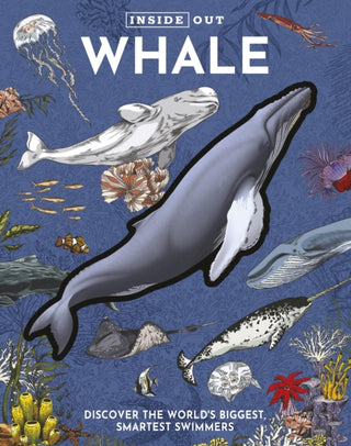 Cover image for 9780785847649 - Inside Out Whale
