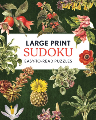 Cover image for 9780785847984 - Large Print Sudoku