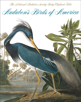 Cover image for 9780789208149 - Audubon's Birds of America