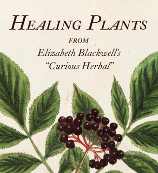 Cover image for 9780789214812 - Healing Plants