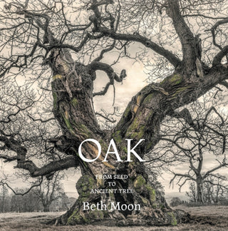Cover image for 9780789215185 - Oak