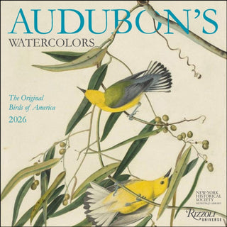 Cover image for 9780789348241 - Audubon’s Watercolors 2026 Wall Calendar