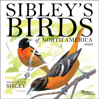 Cover image for 9780789348715 - Sibley's Birds of North America 2026 Wall Calendar