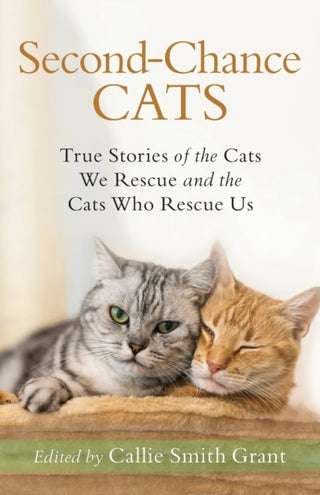 Cover image for 9780800735722 - Second-Chance Cats