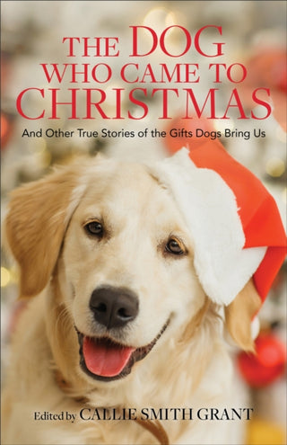 Cover image for 9780800737924 - The Dog Who Came to Christmas – And Other True Stories of the Gifts Dogs Bring Us