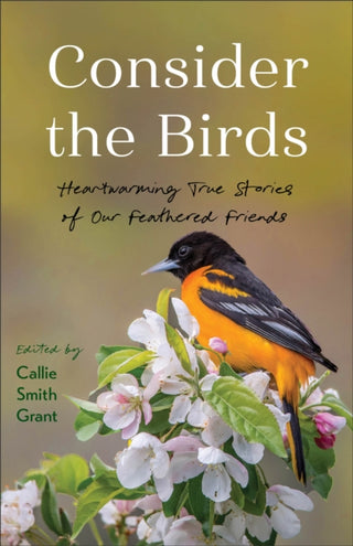 Cover image for 9780800740955 - Consider the Birds