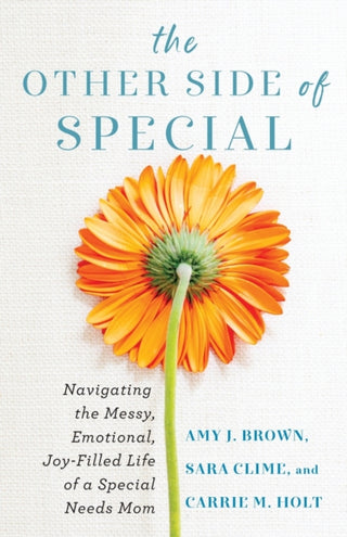 Cover image for 9780800742119 - The Other Side of Special