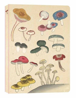 Cover image for 9780804855662 - Healing Mushrooms Lined Paperback Journal