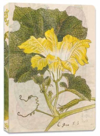 Cover image for 9780804855792 - Japanese Squash Blossom Lined Paperback Journal