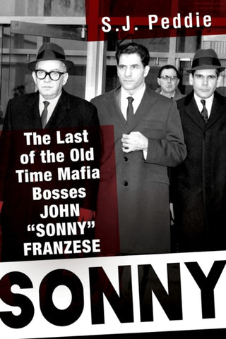 Cover image for 9780806541600 - Sonny