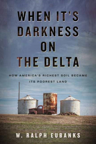 Cover image for 9780807045329 - When It's Darkness on the Delta