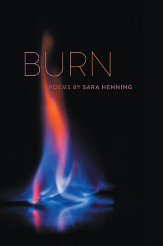 Cover image for 9780809339280 - Burn