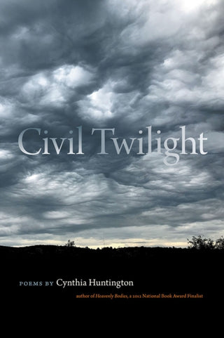 Cover image for 9780809339303 - Civil Twilight