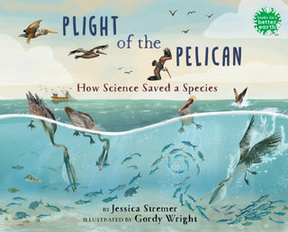 Cover image for 9780823457038 - Plight of the Pelican