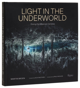 Cover image for 9780847830909 - Light in the Underworld