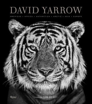 Cover image for 9780847864775 - David Yarrow Photography