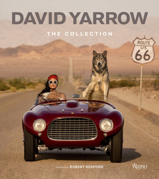 Cover image for 9780847875528 - David Yarrow