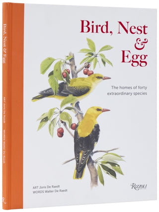 Cover image for 9780847875900 - Bird, Nest & Egg