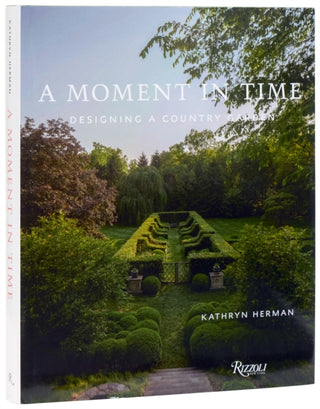 Cover image for 9780847876129 - A Moment In Time