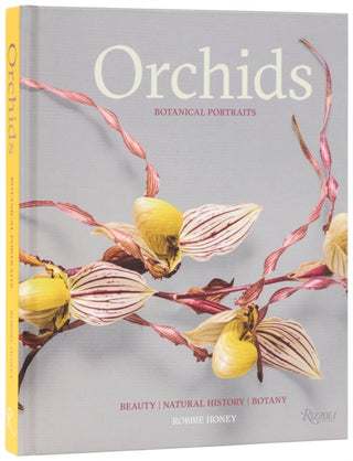 Cover image for 9780847877386 - Orchids: Botanical Portraits