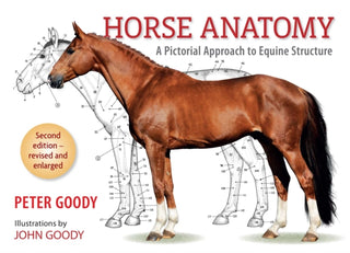 Cover image for 9780851317694 - Horse Anatomy