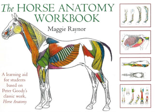 Cover image for 9780851319056 - Horse Anatomy Workbook