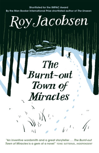 Cover image for 9780857057976 - The Burnt-Out Town of Miracles