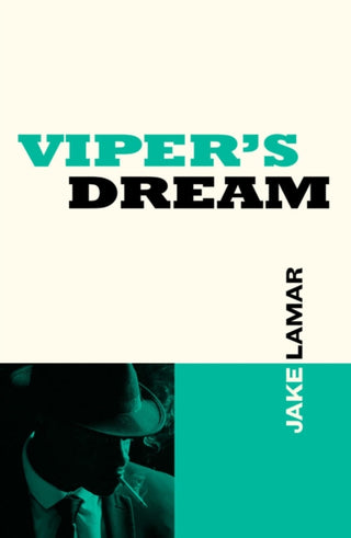 Cover image for 9780857305497 - Viper's Dream