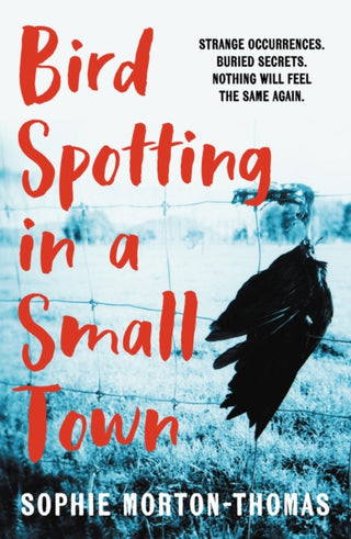 Cover image for 9780857308535 - Bird Spotting in a Small Town