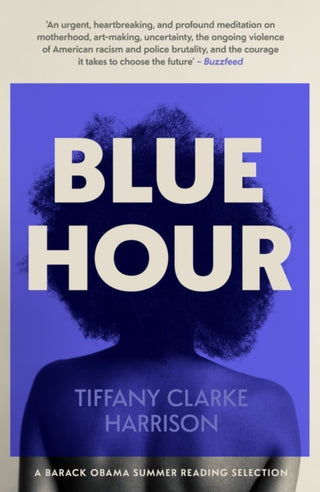 Cover image for 9780857308771 - Blue Hour