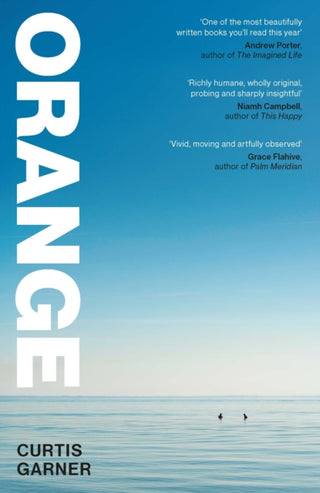 Cover image for 9780857309402 - Orange