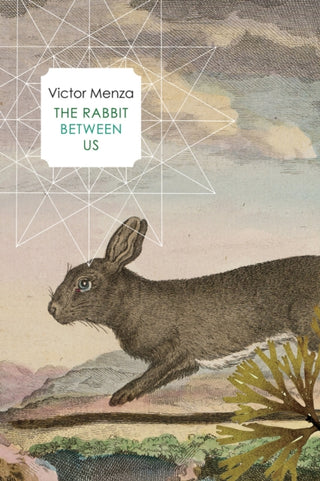 Cover image for 9780857427977 - The Rabbit Between Us