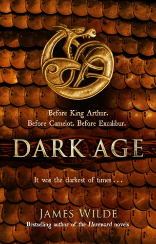 Cover image for 9780857503220 - Dark Age