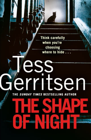 Cover image for 9780857504319 - The Shape of Night