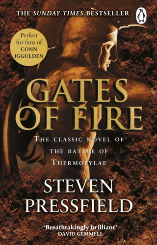 Cover image for 9780857504623 - Gates Of Fire