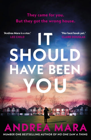 Cover image for 9780857505880 - It Should Have Been You