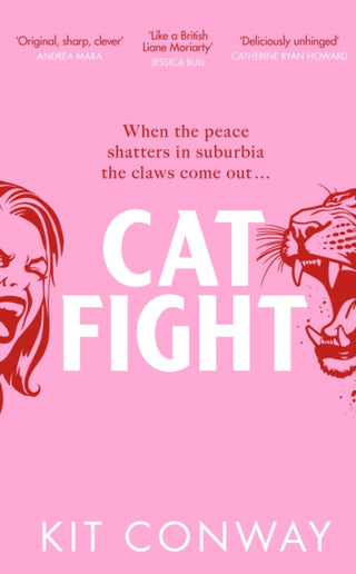 Cover image for 9780857506597 - Cat Fight