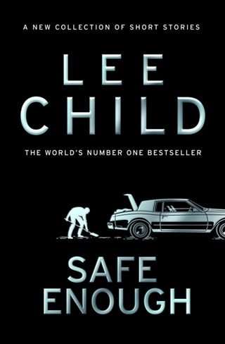 Cover image for 9780857506795 - Safe Enough