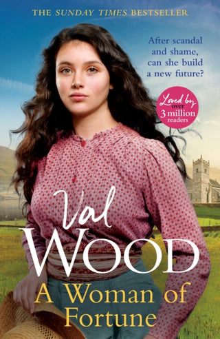 Cover image for 9780857507181 - A Woman of Fortune