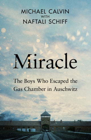 Cover image for 9780857507891 - Miracle