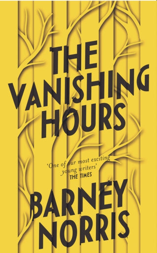 Cover image for 9780857525710 - The Vanishing Hours