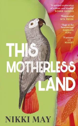 Cover image for 9780857527806 - This Motherless Land