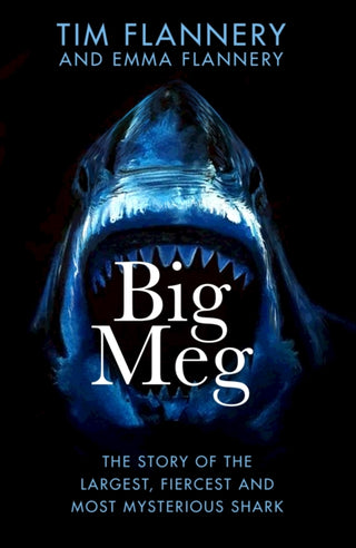 Cover image for 9780857529534 - Big Meg