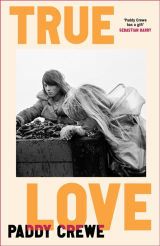 Cover image for 9780857529978 - True Love
