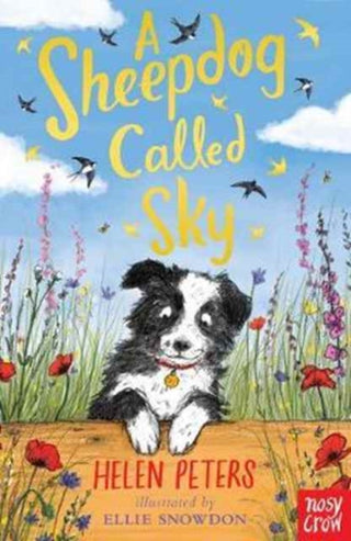 Cover image for 9780857639110 - A Sheepdog Called Sky